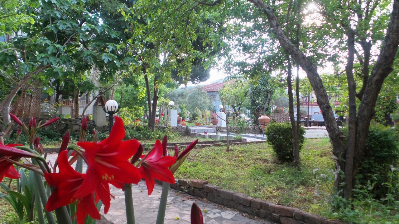 Ovacık Native Hotel מראה חיצוני תמונה